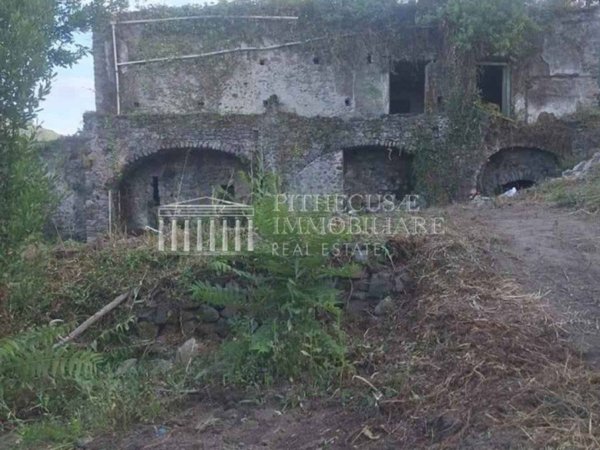 esavano in vendita ad Ischia