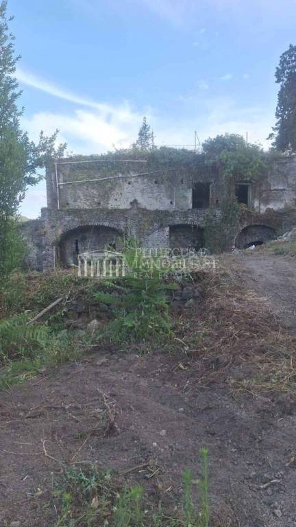 casa indipendente in vendita ad Ischia