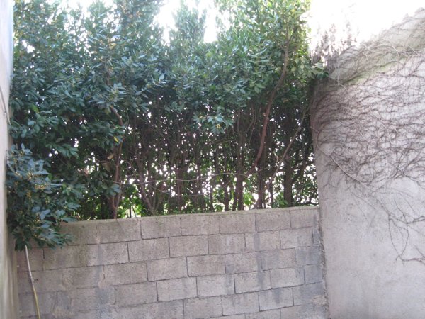 ufficio in vendita ad Ischia