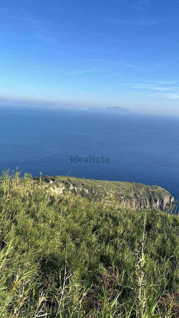 esavano in vendita ad Ischia