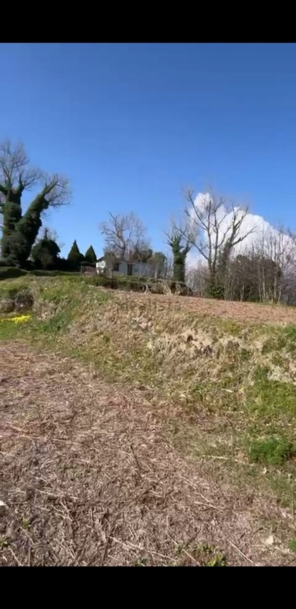 esavano in vendita ad Ischia