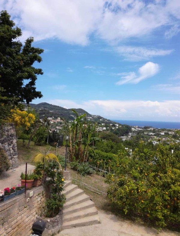 casa indipendente in vendita ad Ischia