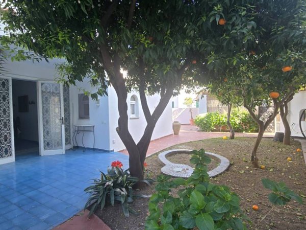 casa indipendente in vendita ad Ischia