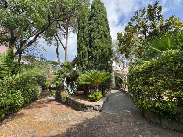 casa indipendente in vendita ad Ischia