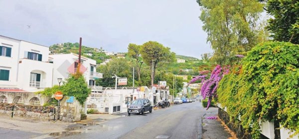 appartamento in vendita ad Ischia