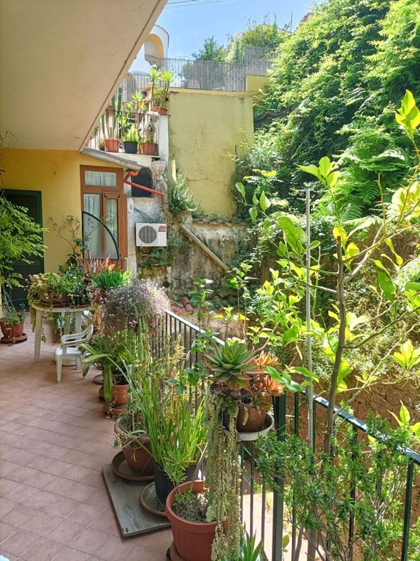 appartamento in vendita a Lacco Ameno