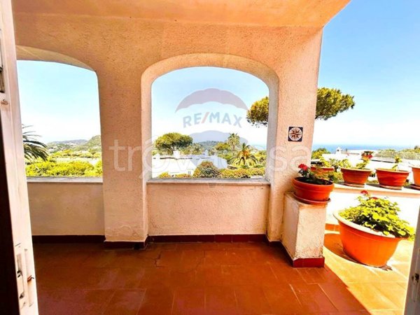 casa indipendente in vendita a Lacco Ameno