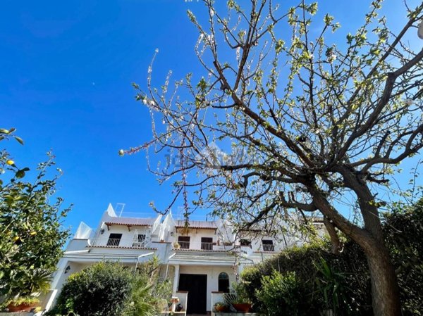 casa indipendente in vendita a Lacco Ameno