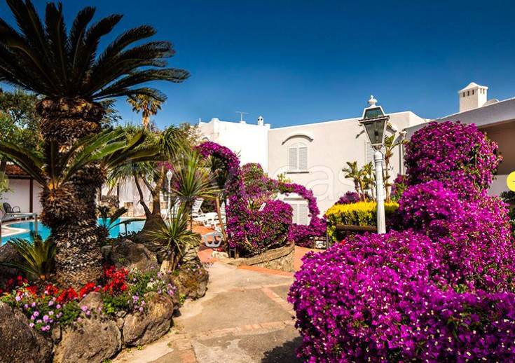 appartamento in vendita a Lacco Ameno