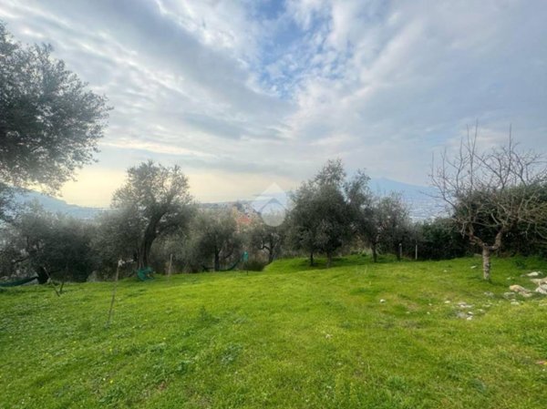 terreno agricolo in vendita a Lettere