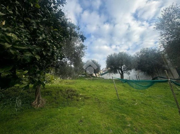 terreno agricolo in vendita a Lettere