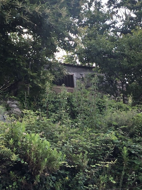 appartamento in vendita a Lettere