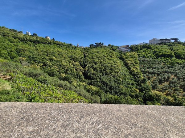 terreno in vendita a Lettere