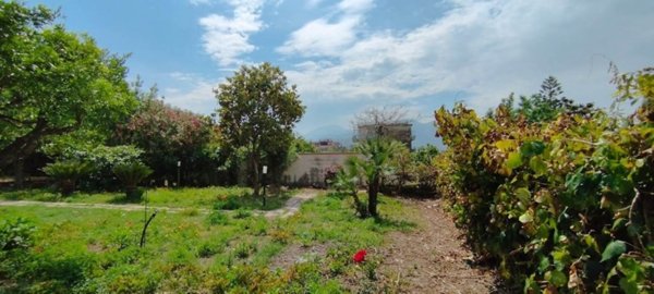 terreno agricolo in vendita a Liveri
