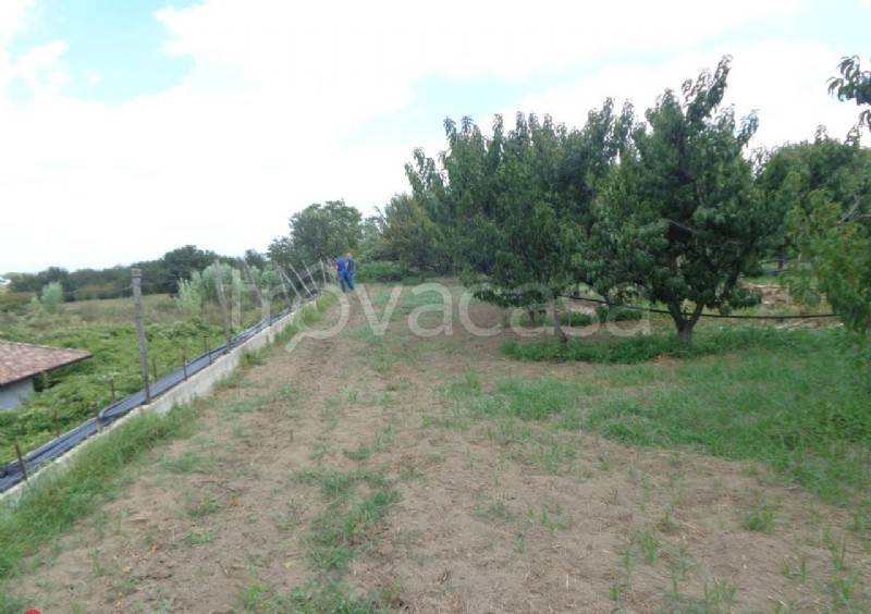 terreno agricolo in vendita a Marano di Napoli