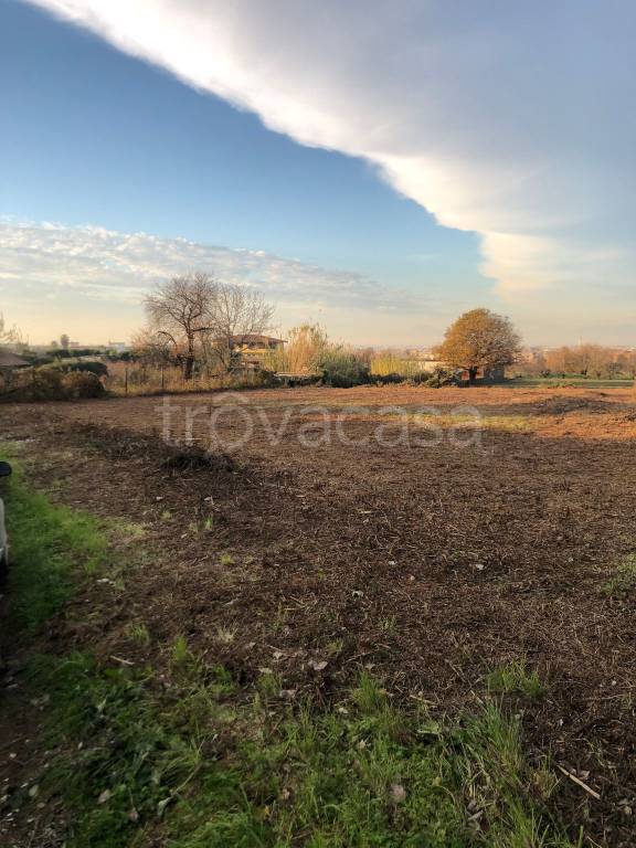 terreno agricolo in vendita a Marano di Napoli