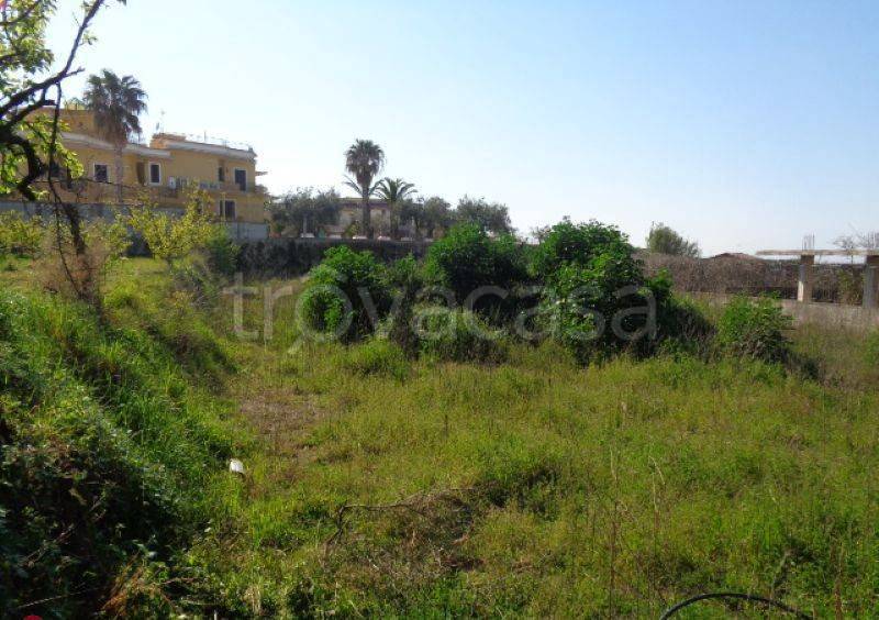 terreno agricolo in vendita a Marano di Napoli