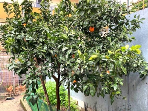 appartamento in vendita a Marano di Napoli in zona Centro Città