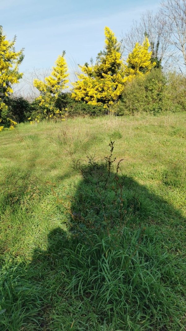 terreno edificabile in vendita a Marano di Napoli