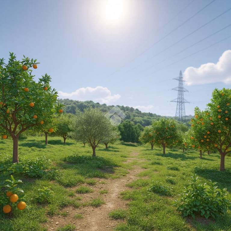 terreno agricolo in vendita a Marano di Napoli in zona San Marco