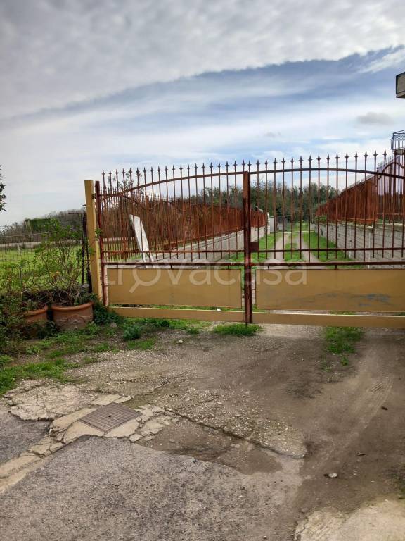 terreno agricolo in vendita a Marano di Napoli