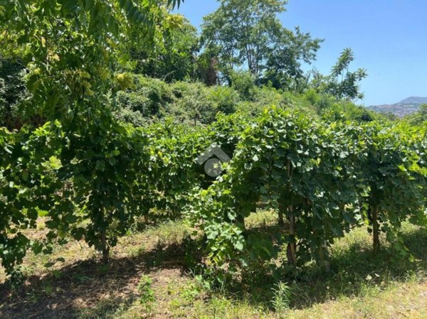 terreno agricolo in vendita a Marano di Napoli in zona San Marco