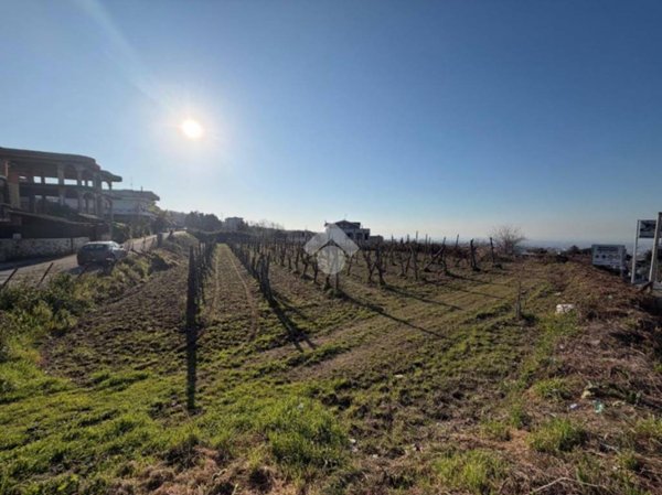 terreno agricolo in vendita a Marano di Napoli