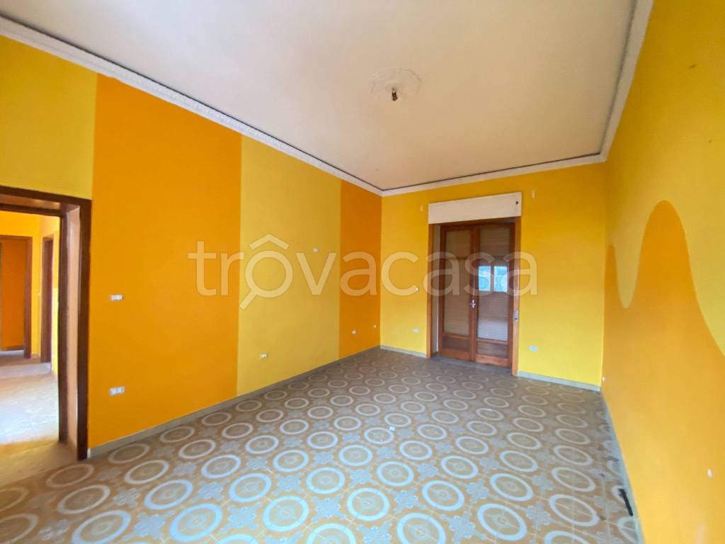 immagine annuncio 0 di 15