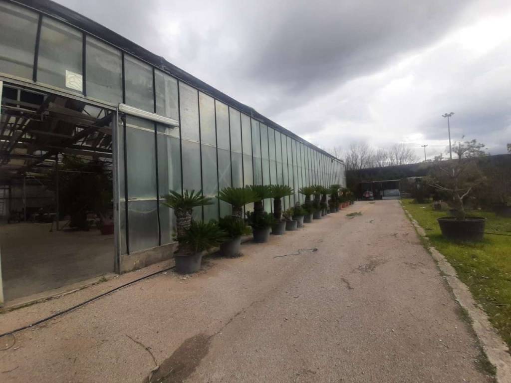 locale commerciale in vendita a Mariglianella