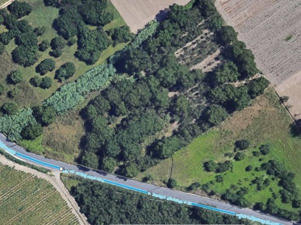 terreno agricolo in vendita a Marigliano
