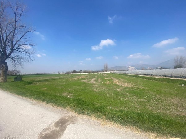 terreno agricolo in vendita a Marigliano