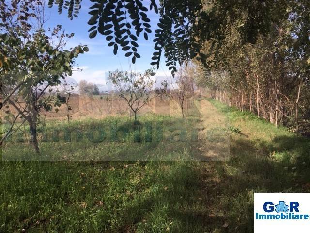 terreno agricolo in vendita a Marigliano