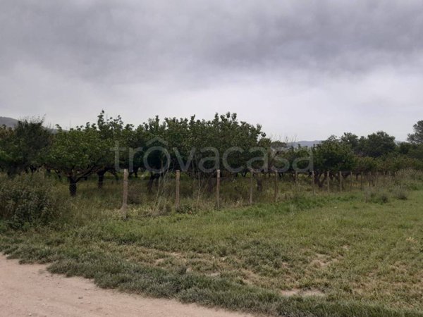 terreno agricolo in vendita a Marigliano