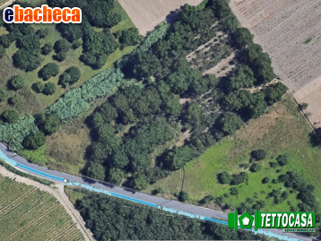 terreno agricolo in vendita a Marigliano