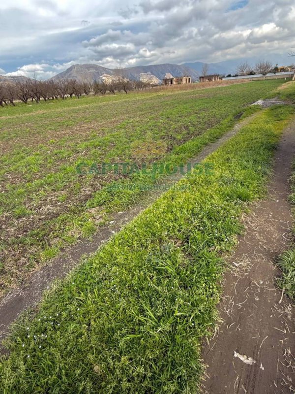 terreno agricolo in vendita a Marigliano