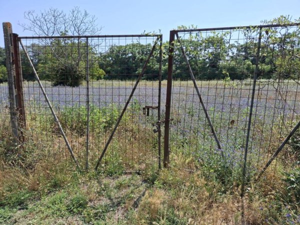 terreno agricolo in vendita a Marigliano