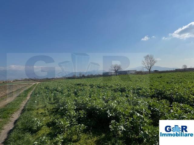 terreno agricolo in vendita a Marigliano