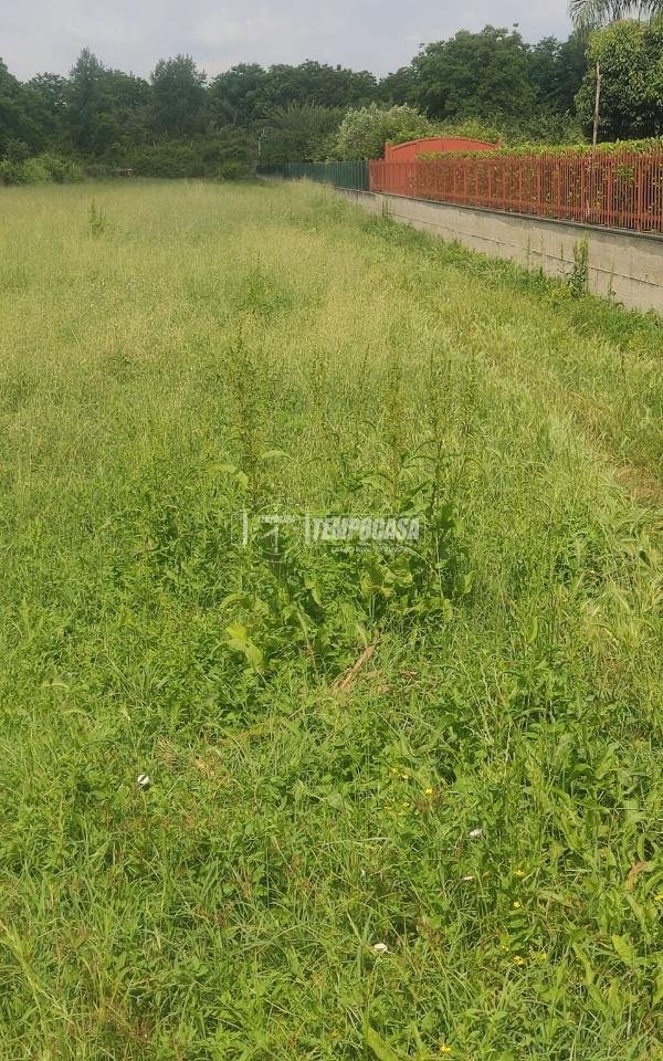 terreno agricolo in vendita a Marigliano