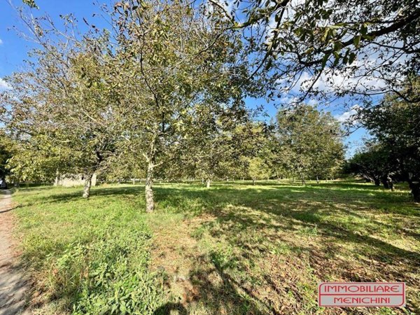 terreno agricolo in vendita a Marigliano