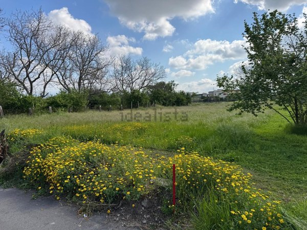 terreno agricolo in vendita a Marigliano in zona Miuli