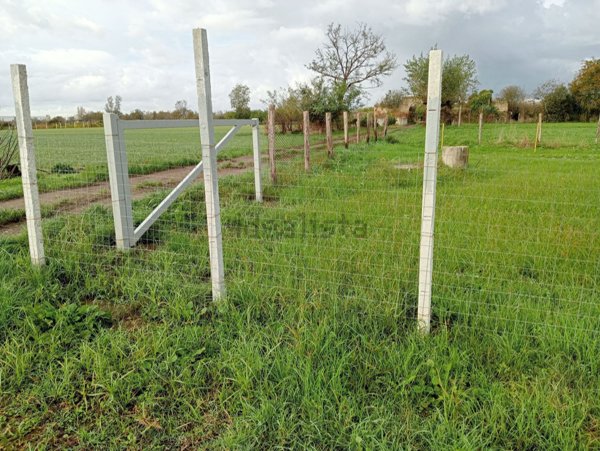 terreno agricolo in vendita a Marigliano
