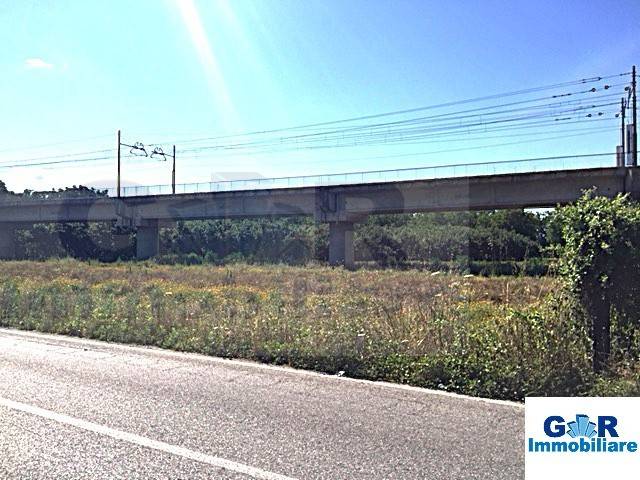terreno agricolo in vendita a Marigliano
