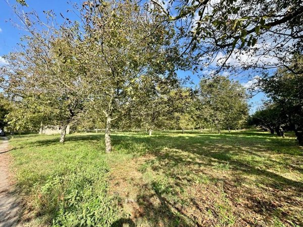 terreno agricolo in vendita a Marigliano