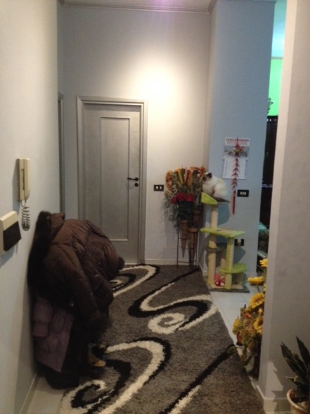 appartamento in vendita a Marigliano