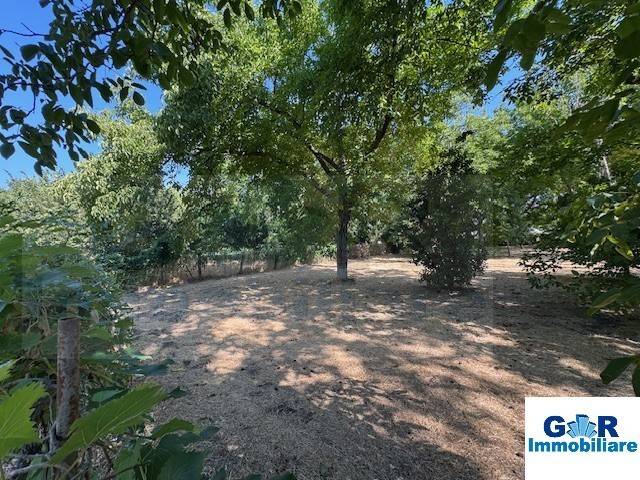 terreno agricolo in vendita a Marigliano