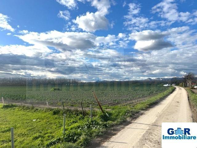 terreno agricolo in vendita a Marigliano