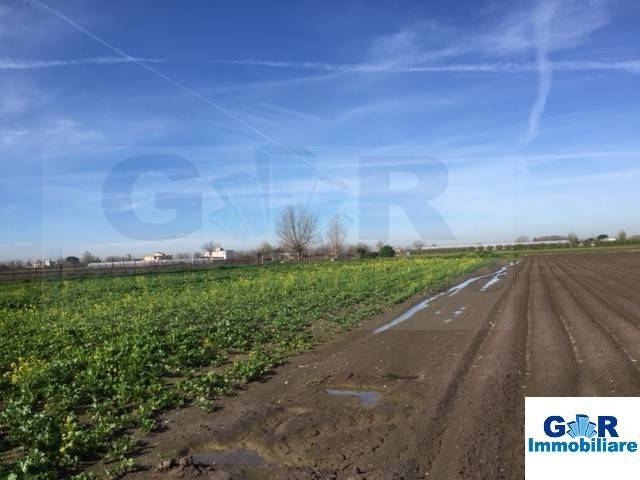 terreno agricolo in vendita a Marigliano