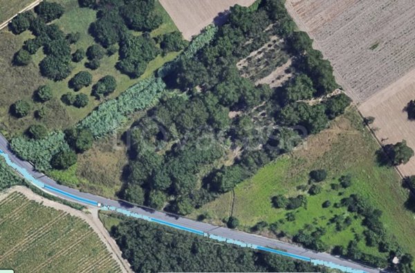 terreno agricolo in vendita a Marigliano