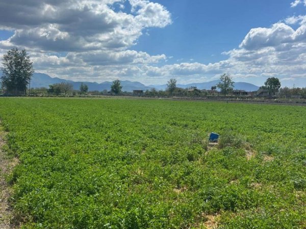 terreno agricolo in vendita a Marigliano
