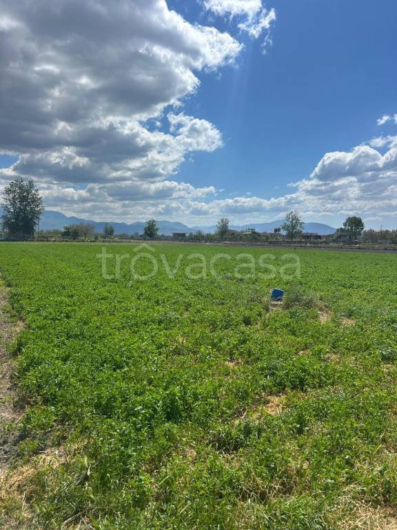 terreno agricolo in vendita a Marigliano in zona Lausdomini